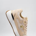 Tenis para Mujer BHPC SIMMI-BG-W8